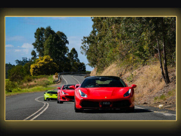 Ferrari Lamborghini Ultimate Group Driving Experience