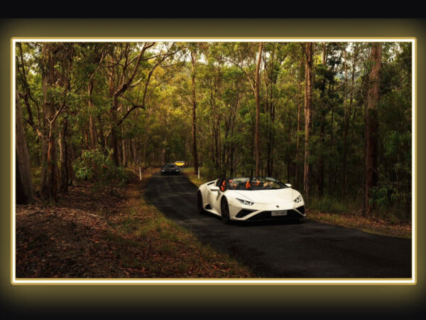 Ferrari Lamborghini Ultimate Group Driving Experience