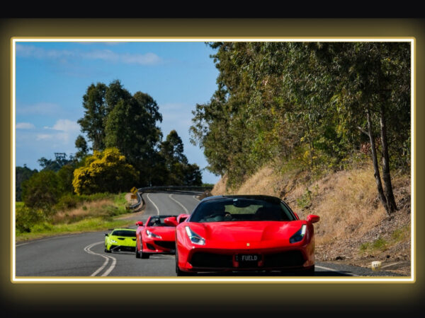 Ferrari Lamborghini Ultimate Group Driving Experience