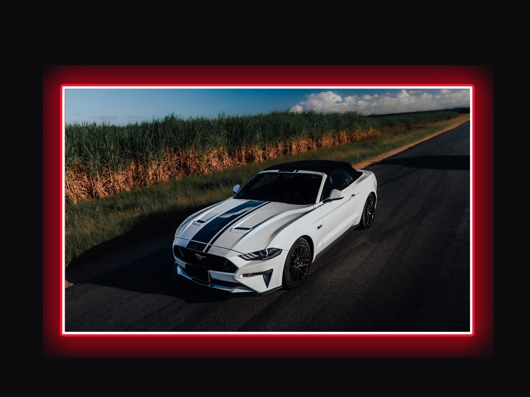 Ford Mustang Hire Gold Coast Brisbane Byron Bay Queensland Luxury Car